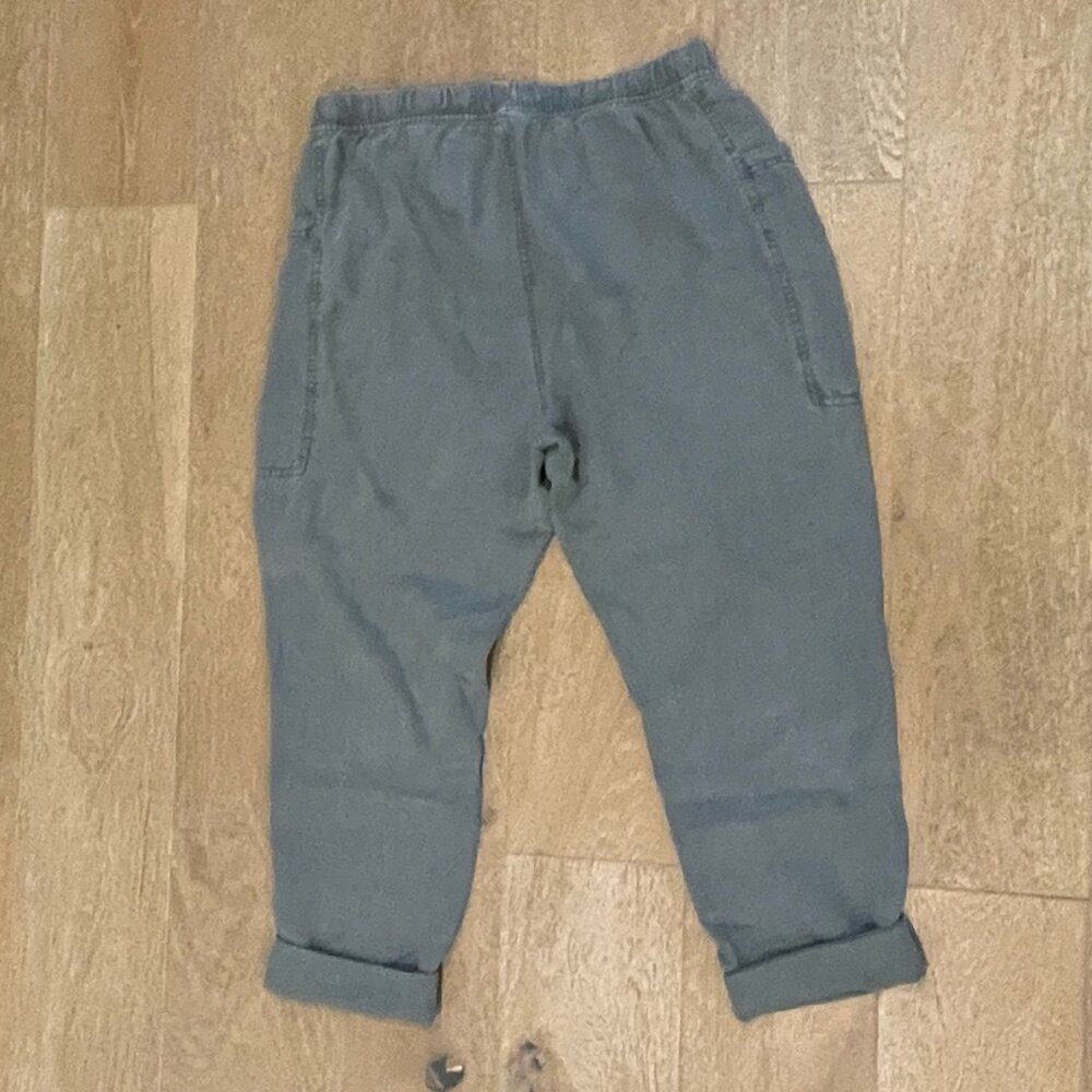Splendid Pants - Size Small - image 2